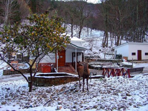 В монастыре завершают ремонт храма святых целителей Косьмы и Дамиана